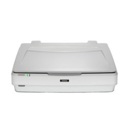 Epson Expression 13000XL Numérisation à plat 2400 x 4800 DPI A3 Blanc (B11B257401)