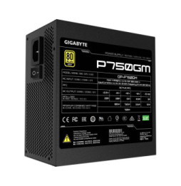 Gigabyte P750GM unité d'alimentation d'énergie 750 W 20+4 pin ATX ATX Noir (GP-P750GM)
