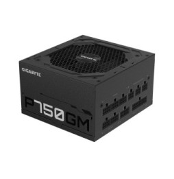 Gigabyte P750GM unité d'alimentation d'énergie 750 W 20+4 pin ATX ATX Noir (GP-P750GM)