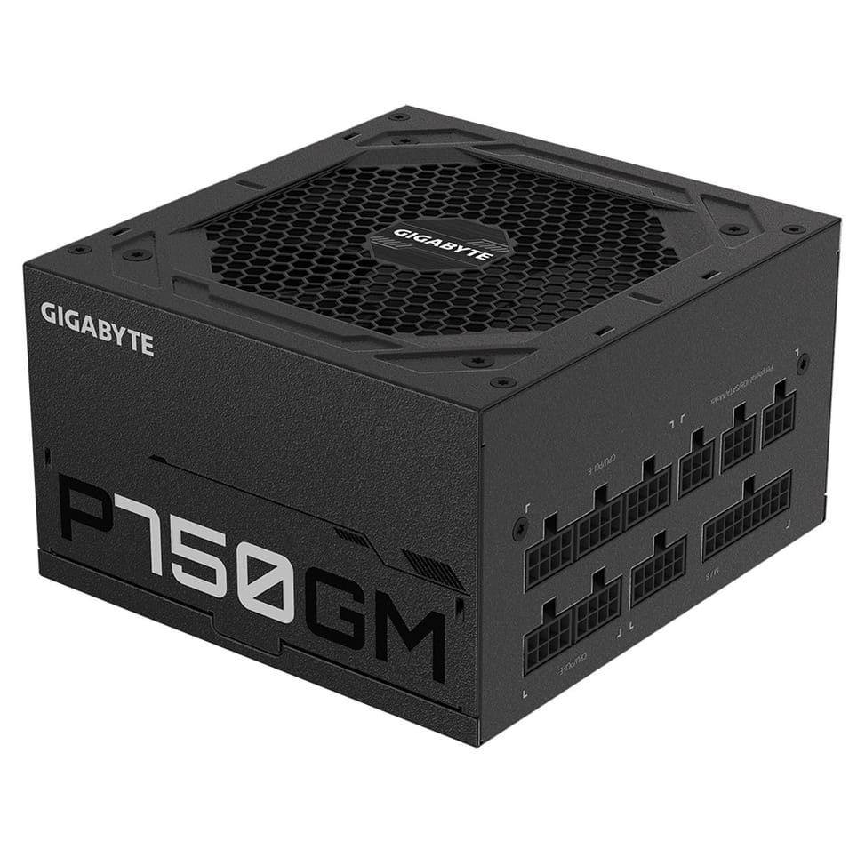 Gigabyte P750GM unité d'alimentation d'énergie 750 W 20+4 pin ATX ATX Noir (GP-P750GM) — image 3