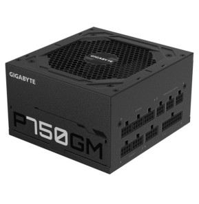 Gigabyte P750GM unité d'alimentation d'énergie 750 W 20+4 pin ATX ATX Noir (GP-P750GM)