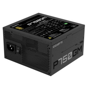 Gigabyte P750GM unité d'alimentation d'énergie 750 W 20+4 pin ATX ATX Noir (GP-P750GM)
