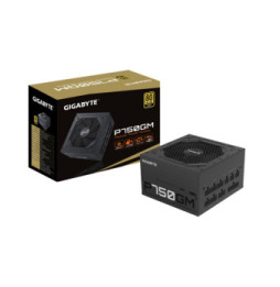 Gigabyte P750GM unité d'alimentation d'énergie 750 W 20+4 pin ATX ATX Noir (GP-P750GM)