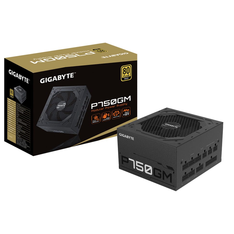 Gigabyte P750GM unité d'alimentation d'énergie 750 W 20+4 pin ATX ATX Noir (GP-P750GM) — image 7