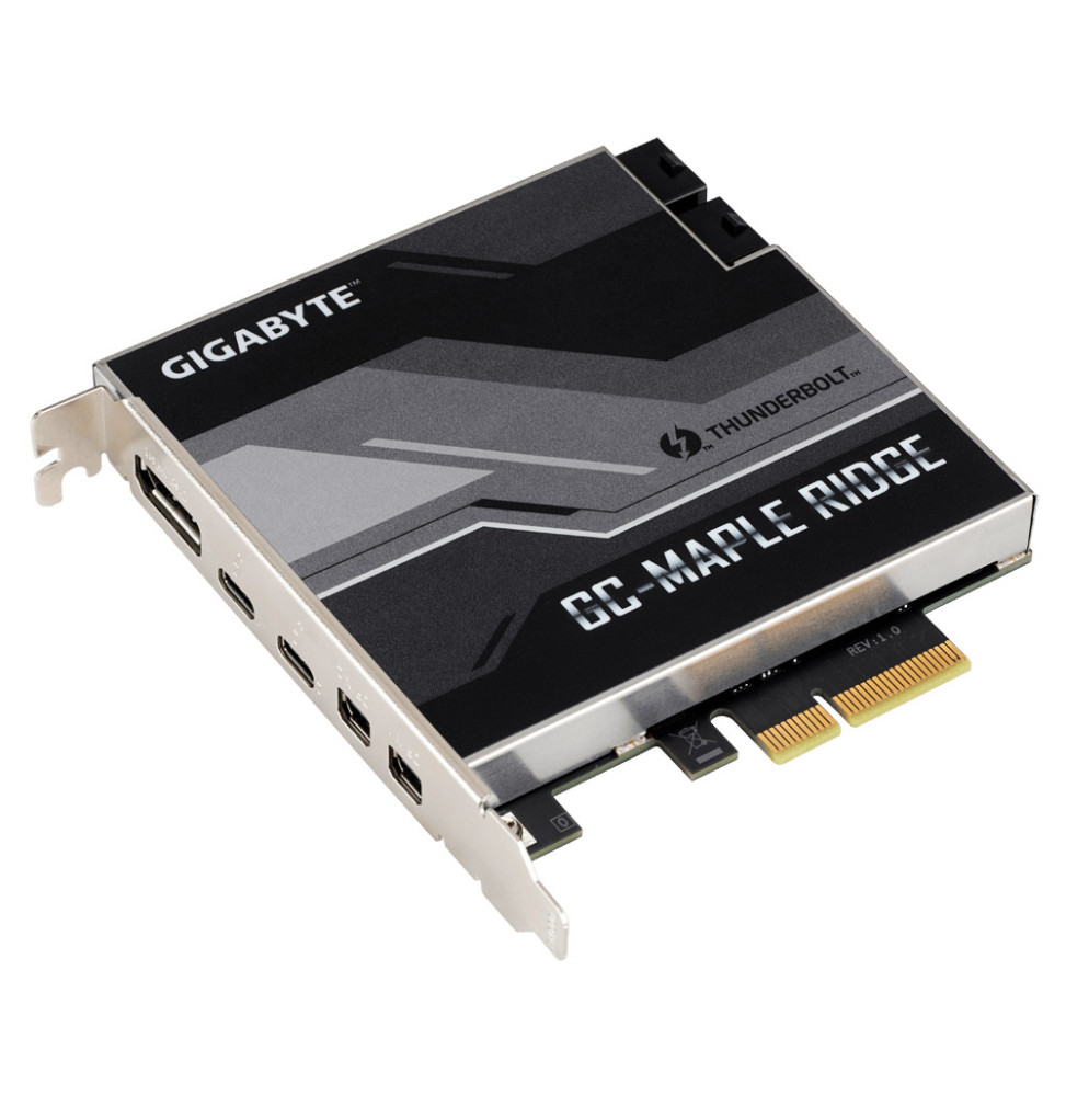Gigabyte GC-MAPLE RIDGE carte et adaptateur d'interfaces Interne DisplayPort, Mini DisplayPort, Thunderbolt 4, USB 3.2 Gen 2
