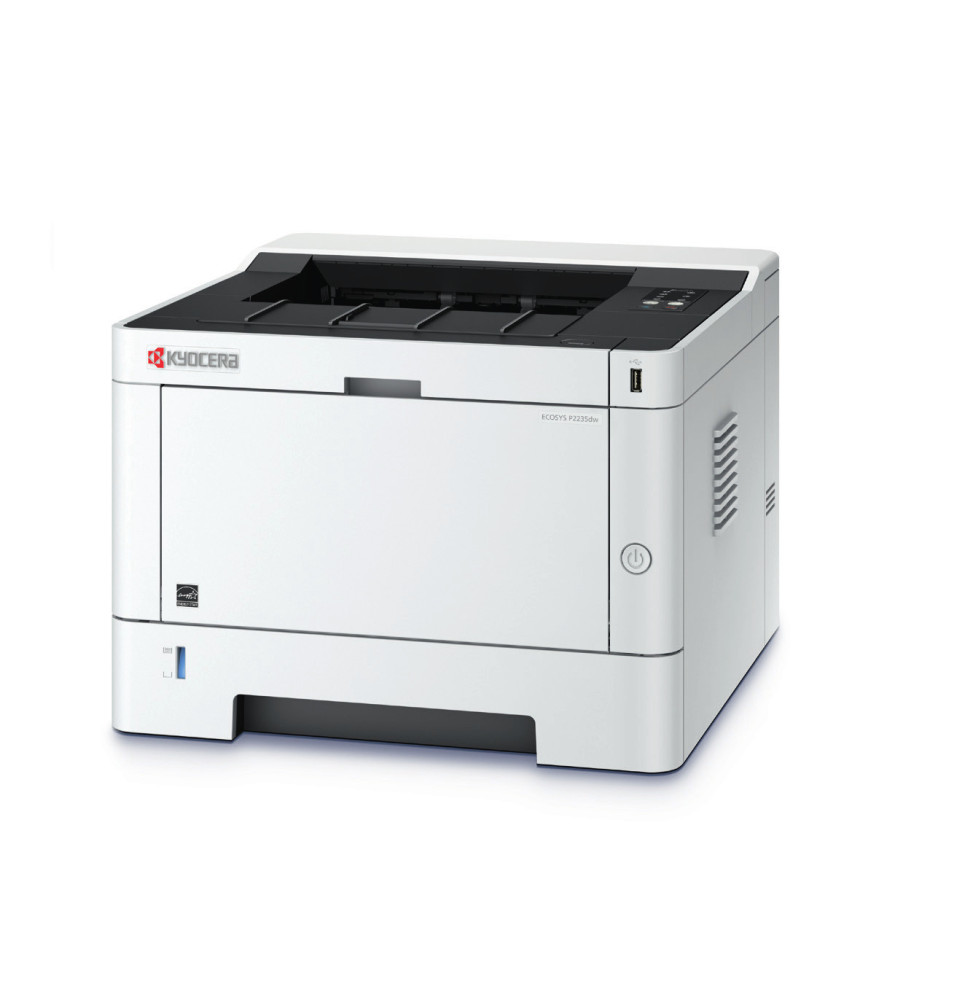 KYOCERA ECOSYS P2235dn 1200 x 1200 DPI A4 (1102RV3AS0)
