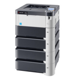 KYOCERA FS-2100DN imprimante laser 1200 x 1200 DPI A4 (FS-2100DN)