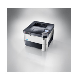 KYOCERA FS-4200DN 1200 x 1200 DPI A4 (1102L13NL1)