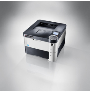 KYOCERA FS-4200DN 1200 x 1200 DPI A4 (1102L13NL1)