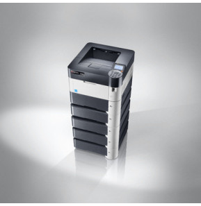 KYOCERA FS-4200DN 1200 x 1200 DPI A4 (1102L13NL1)
