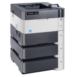 KYOCERA FS-4200DN 1200 x 1200 DPI A4 (1102L13NL1)
