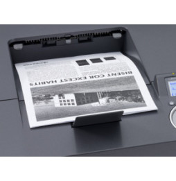 KYOCERA FS-4200DN 1200 x 1200 DPI A4 (1102L13NL1)