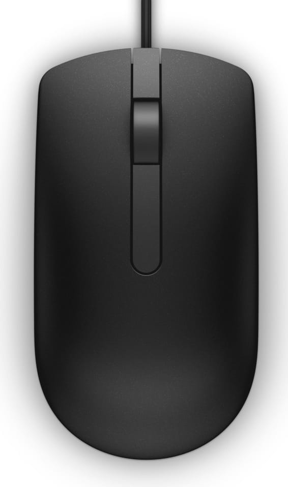 Souris filaire Dell MS116 noire