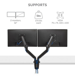 Bras porte-écrans double Horizontal Fellowes Platinum Series - Noir (8042501)
