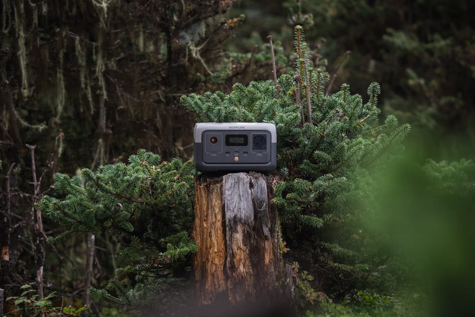Station d'Énergie Portable EcoFlow RIVER 2 | 300W, 256Wh — image 8