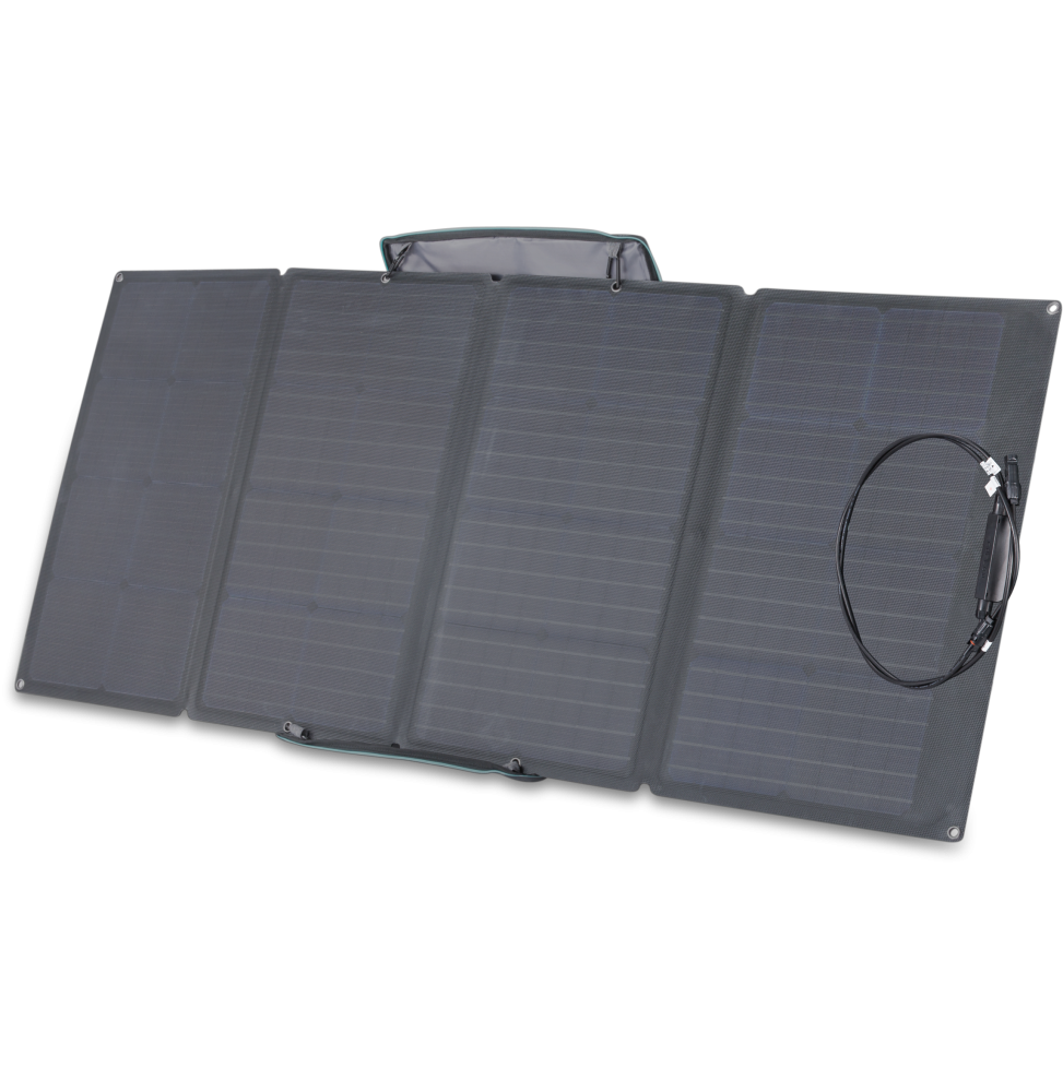 Panneau Solaire Ecoflow 160W 80V Max| 10A Max (EF-FLEX)