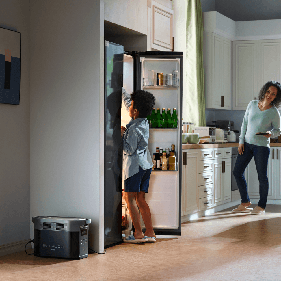 Station électrique portable Ecoflow Delta Max 2 - 2048Wh — image 5