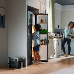 محطة طاقة محمولة Ecoflow Delta Max 2 - 2048Wh — صورة 5
