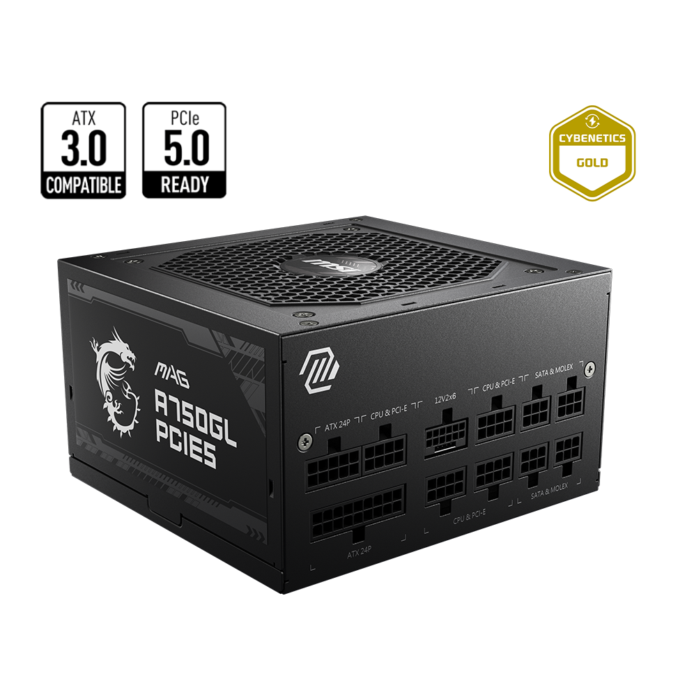 Bloc alimentation MSI MAG A750GL PCIE5 (306-7ZP8B11-CE0)