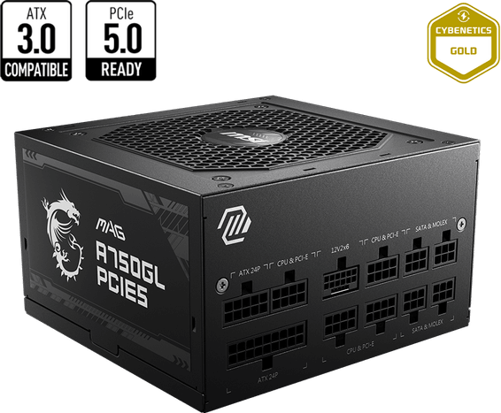 Bloc alimentation MSI MAG A750GL PCIE5 750W (306-7ZP8B11-CE0)
