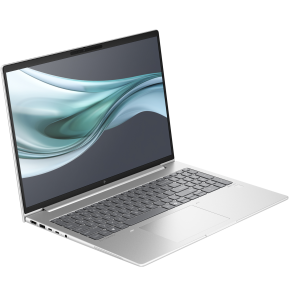 Ordinateur portable HP EliteBook 660 G11 (A38G0ET)