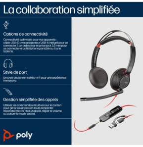 POLY Micro-casque Blackwire C5220 USB-C + câble commandes (lot) (805H3A6)