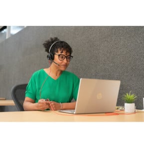 POLY Micro-casque Blackwire 8225 stéréo USB-C + adaptateur USB-C/A (8X223AA)