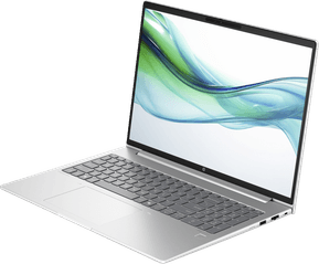 Ordinateur portable HP ProBook 460 G11 (A38FRET) — image 3
