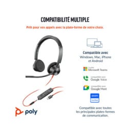 POLY Micro-casque Blackwire 3325 stéréo USB-C certifié Microsoft Teams + connexion 3,5 mm + adaptateur USB-C/A (8X222AA)