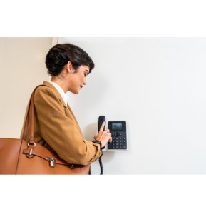 POLY Téléphone IP Edge E100 compatible PoE Téléphone IP Poly Edge E100 compatible PoE  (82M86AA)