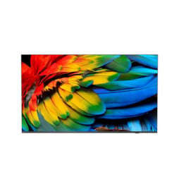 Philips 50HFL6214U 127 cm (50") 4K Ultra HD Smart TV Wifi Anthracite 400 cd/m² Écran enroulable (50HFL6214U/12)