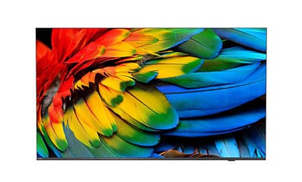 Philips 58HFL6214U/12 TV 147,3 cm (58") 4K Ultra HD Wifi Anthracite 400 cd/m² (58HFL6214U/12)