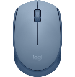 Souris sans fil Logitech M171 (910-006866)