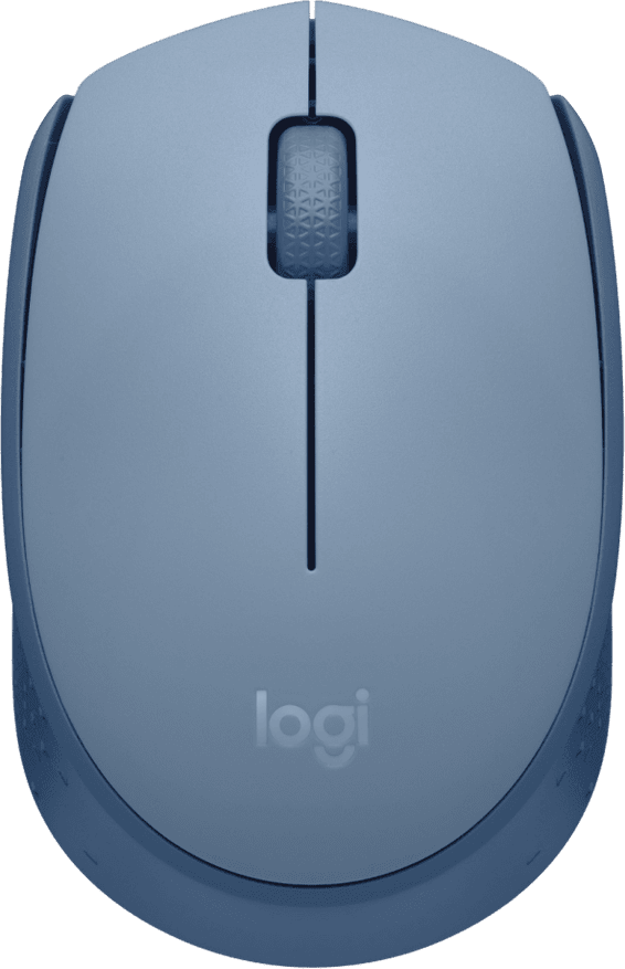 Souris sans fil Logitech M171 (910-006866)