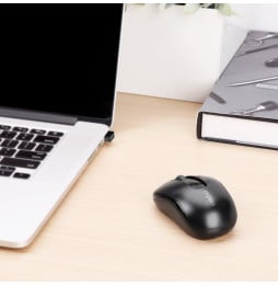Souris sans fil Rapoo M10+ (M10PLUS)