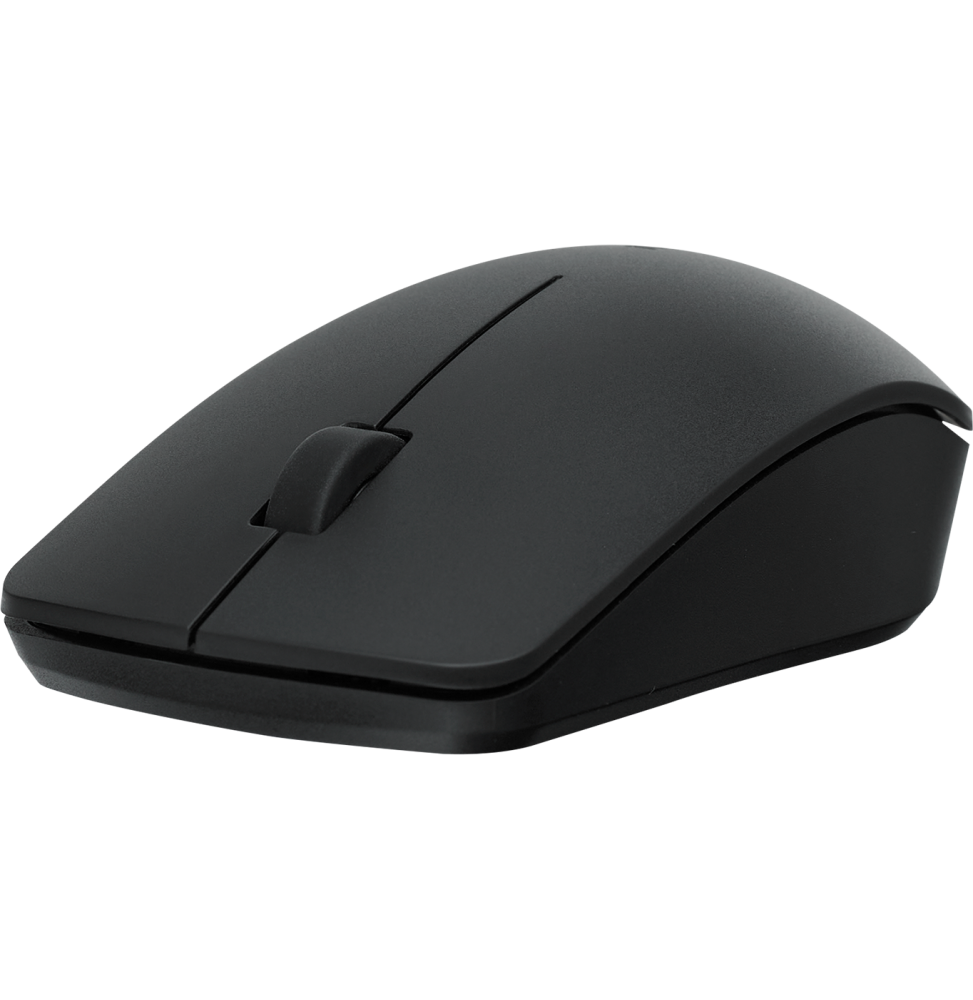 Souris sans fil Rapoo M20+