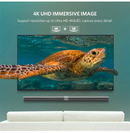Câble Ugreen DisplayPort 1.2 Mâle vers Mâle - 1 mètre (10244)