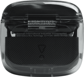 Écouteurs Bluetooth JBL Tune Flex TWS Ghost - Noir (JBLTFLEXGBLK) — image 4