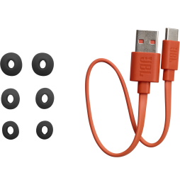 Écouteurs Bluetooth JBL Wave Buds - Noir (JBLWBUDSBLK)