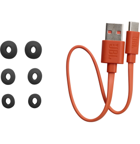 Écouteurs Bluetooth JBL Wave Buds - Noir (JBLWBUDSBLK)