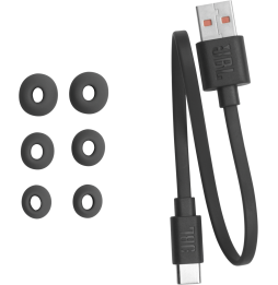 Écouteurs Bluetooth JBL Tour Pro 2 à réduction de bruit - Noir (JBLTOURPRO2BLK)