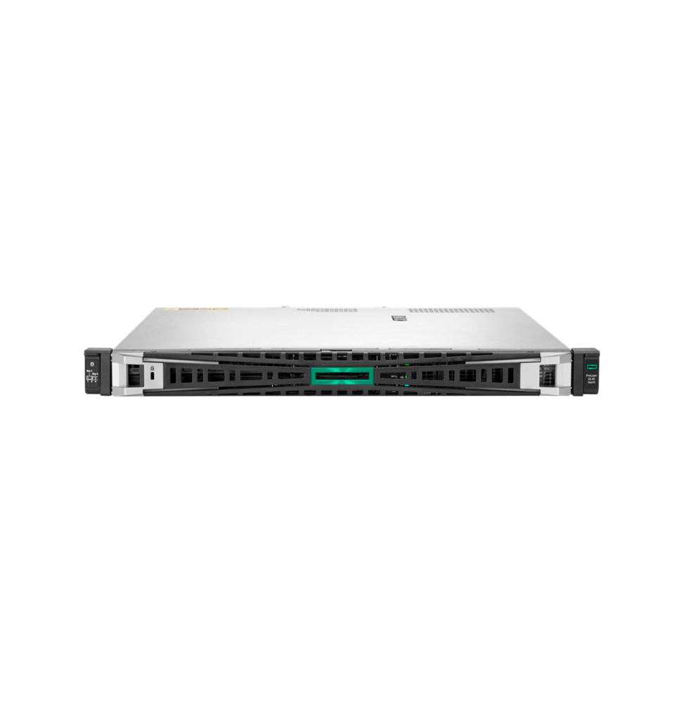 Serveur HPE ProLiant DL20 Gen11 (P65395-421)