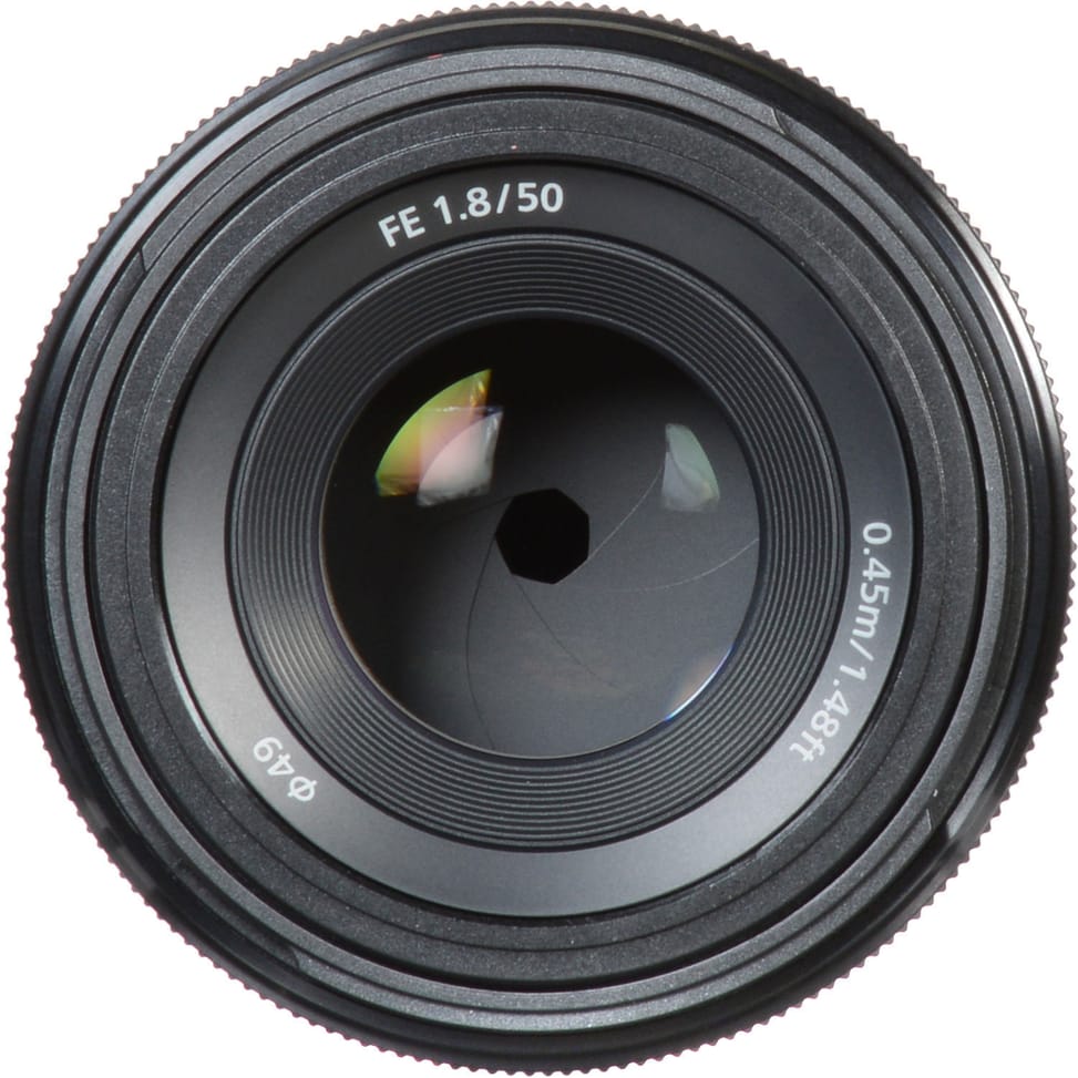 Objectif Sony FE 50mm f/1.8 (SEL50F18F) — image 8