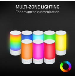 Lampe LED RGB Razer Aether Smart Pro avec éclairage Multi-zone (RZ43-04080100-RGWB)