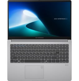 Ordinateur portable Asus ExpertBook P1 (P1503CVA-NJ0991)