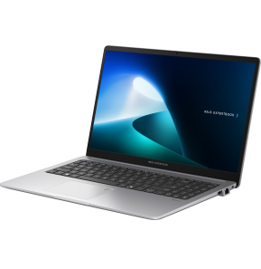 Ordinateur portable Asus ExpertBook P1 (P1503CVA-NJ0991)