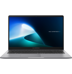 Ordinateur portable Asus ExpertBook P1 (P1503CVA-NJ0991)