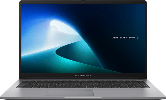 Ordinateur portable Asus ExpertBook P1 (P1503CVA-NJ0991)