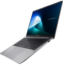 Ordinateur portable Asus ExpertBook P5 (P5405CSA-NZ0410)