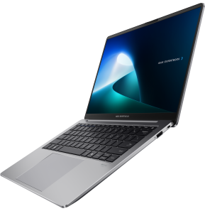 Ordinateur portable Asus ExpertBook P5 (P5405CSA-NZ0410)